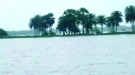 নন্দীগ্রামে বন্যায় ভেসে গেছে শতাধিক পুকুরের মাছ