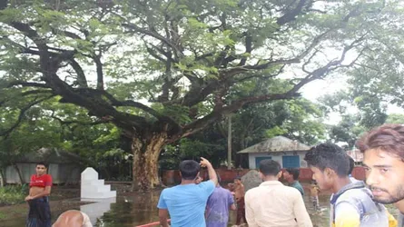 গাছ ও দিঘির কেরামতি দেখতে ভিড় করছেন শত শত মানুষ