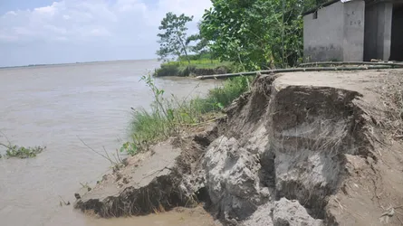 চরভদ্রাসনে পদ্মার ভাঙনে দু’দিনে গৃহহীন ৮ পরিবার