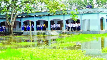 বড়াইগ্রামে বিদ্যালয় মাঠে পাঁচ মাস ধরে জলাবদ্ধতা