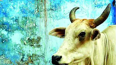 ত্যাগেই আনন্দ