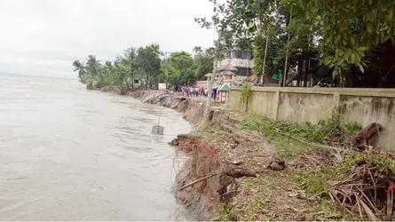 থামছেনা পদ্মার ভাঙ্গন