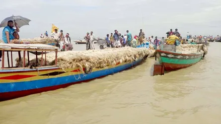 সিরাজগঞ্জে নৌকায় পাটের হাট