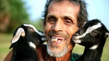 ছাগলও মানুষের রাগান্বিত মুখ পছন্দ করে না?