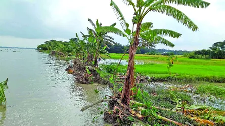 মির্জাগঞ্জে পায়রার বেড়িবাঁধে ভাঙন   জোয়ারে ৫ গ্রাম প্লাবিত