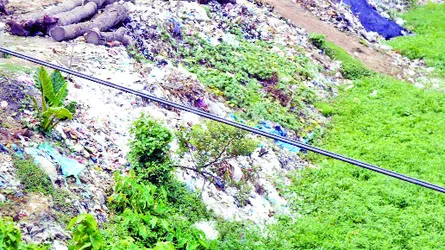 মহানন্দাতীরে বর্জ্য ফেলে দূষণ করছে গুরুদাসপুর পৌরসভা