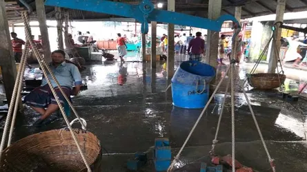 ভরা মৌসুমেও মিলছে না ইলিশ, হতাশ জেলেরা