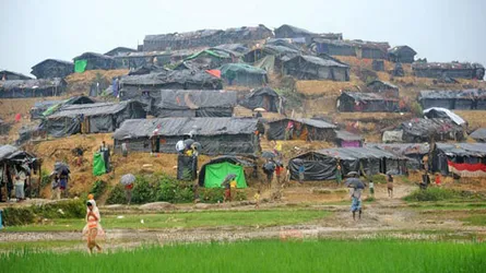 টেকনাফ পাহাড় থেকে গলাকাটা ৩ রোহিঙ্গা উদ্ধার