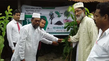 কুয়াকাটায় আল-আরাফা ইসলামী ব্যাংকের চারা বিতরণ