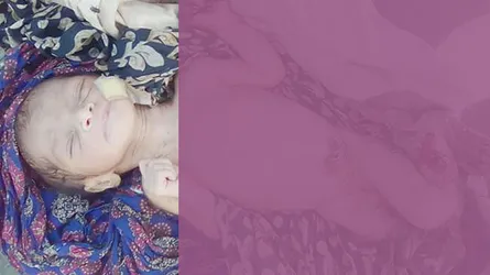 লাকসামে সড়কের পাশের ঝোঁপ থেকে নবজাতক উদ্ধার