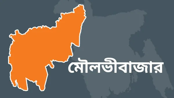 পল্লী বিদ্যুতের ভুতুড়ে বিলে অতিষ্ঠ গ্রাহক