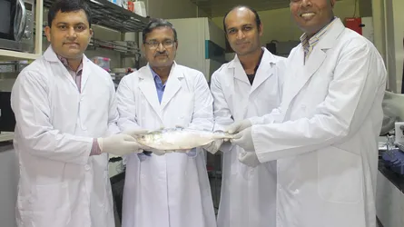 ইলিশের জীবন রহস্য উন্মোচন