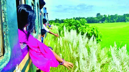 শরৎ আলোর কমল বনে