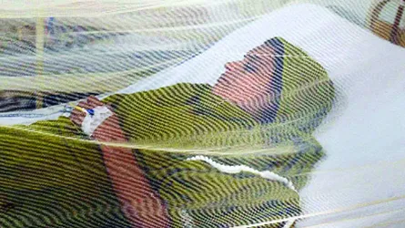 এবার ডেঙ্গুর প্রকোপ বেশি