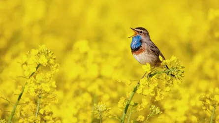 কম খরচে সুখী হবার নয়টি উপায়