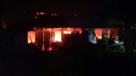 মিরসরাইয়ে পোল্ট্রি ফার্মে অগ্নিকাণ্ড