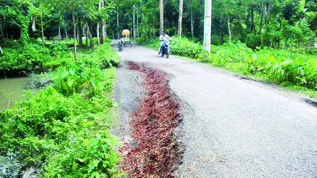 খানাখন্দে ভাণ্ডারিয়া উপজেলার সড়কগুলো বেহাল