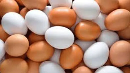 কোনটি উপকারী : লালচে ডিম না সাদা ডিম?