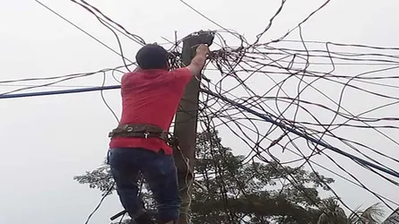 পাখিটিকে বাঁচাতে এতকিছু!