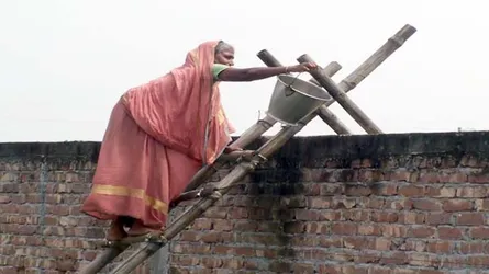 মই বেয়ে যাতায়াত