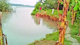 শৈলকুপায় গড়াই নদীর ভাঙনে বরুলিয়া গ্রাম বিলীন