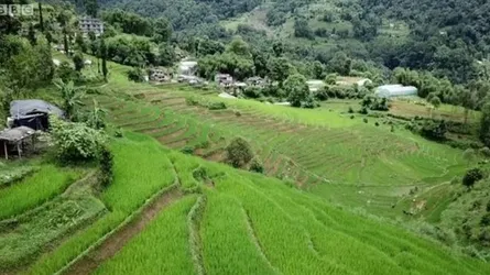 ভারতের সিকিম কিভাবে অর্গানিক রাজ্য হলো?