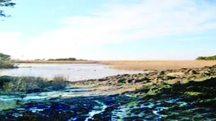 বদলে যায় জীবন