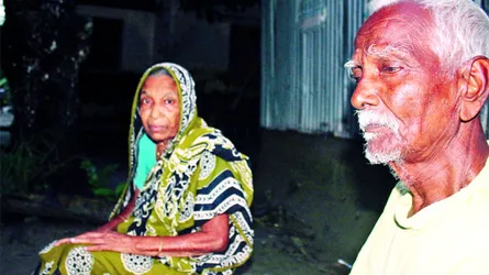 বার্ধক্যে জীবন