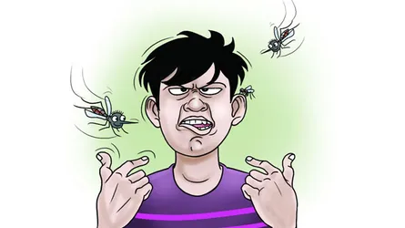 মশার কবলে