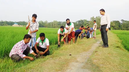 মিরসরাইয়ের ‘অদম্য-২০০৫’ এর তালের আঁটি রোপণ কর্মসূচি