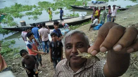 দুধের মধ্যে মিলল জীবন্ত টেংরা মাছ!