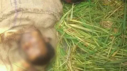 ঠাকুরগাঁওয়ে যুবকের বস্তাবন্দী লাশ উদ্ধার