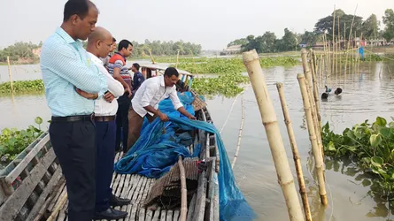 চলনবিলে অভিযানে বাঁশের বেড়া ও সুঁতিজাল উচ্ছেদ