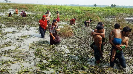 বিলের পানিতে ডুব দিলেই বুড়ো ফিরে পাবে যৌবন!