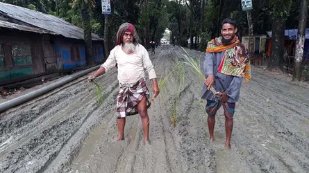 রাস্তায় ধানের চারা লাগিয়ে এলাকাবাসীর প্রতীকী প্রতিবাদ