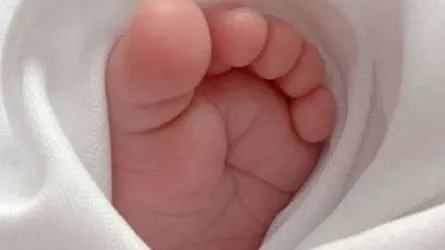 দশমিনায় ঘুমের মধ্যে সাপের কামড়ে স্কুলছাত্রীর মৃত্যু