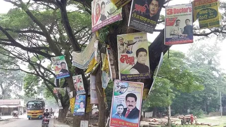 প্রচারণা বোর্ডের অত্যাচারের শিকার গাছগুলো