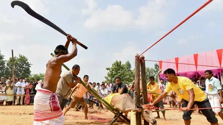 দুর্গাপুজায় দেবীর নামে প্রাণী উৎসর্গ দেয়া হয় যে মন্দিরে