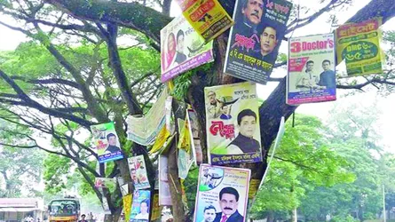 চৌগাছায় গাছে পেরেক ঠুকে প্রচার বোর্ড ঝুলাতে ব্যস্ত মনোনয়নপ্রত্যাশীরা