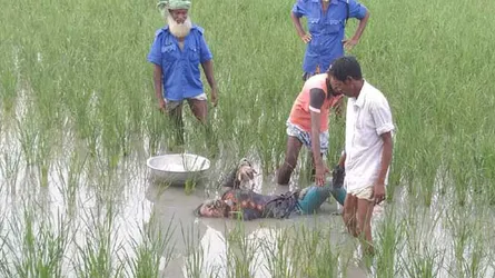 গফরগাঁওয়ে ধানক্ষেত থেকে অজ্ঞাত যুবতীর লাশ উদ্ধার