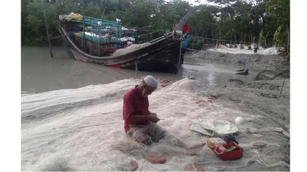 নিষেধাজ্ঞা শেষ: আবার ইলিশে ভরে উঠবে বাজার