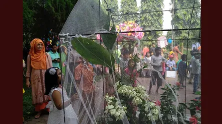 জাবিতে বর্ণিল প্রজাপতি মেলা অনুষ্ঠিত