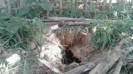 কবর থেকে ৩টি কংকাল চুরি, এলাকায় তোলপাড়