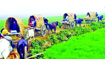 হারিয়ে গেছে গরুর গাড়ি
