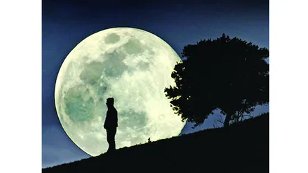 নিশিতা