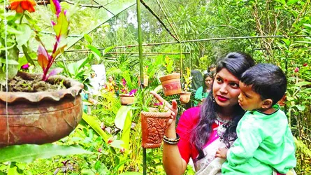 প্রজাপতির মেলা