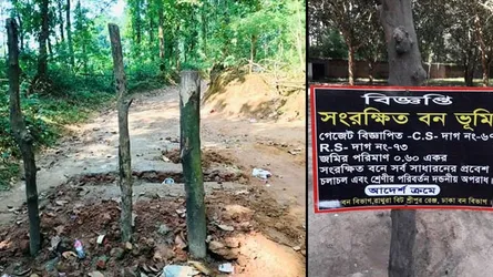 নুহাশ পল্লীর প্রবেশ পথে প্রতিবন্ধকতা, পর্যটকদের ক্ষোভ