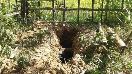 নালিতাবাড়ীতে আবারো কবর খুঁড়ে কঙ্কাল চুরি