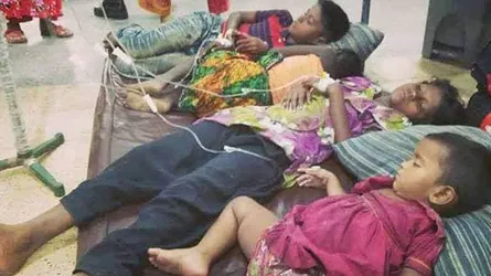 পটকা মাছ খেয়ে দাদী-নাতনির মৃত্যু, হাসপাতালে ভর্তি আরো ৭