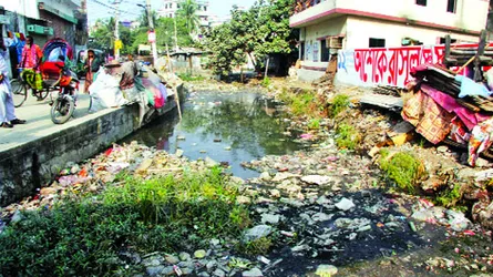 ১১ জনের মৃত্যু : ডেঙ্গু আতঙ্কে নগরবাসী